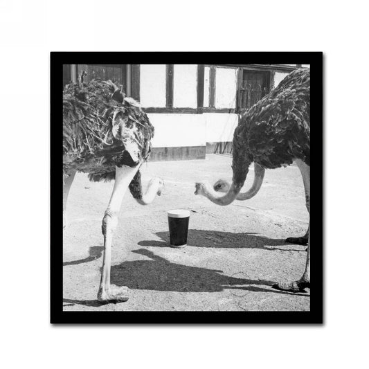Two Guinness XVIII-century ostriches are drinking from a quirky art cup.