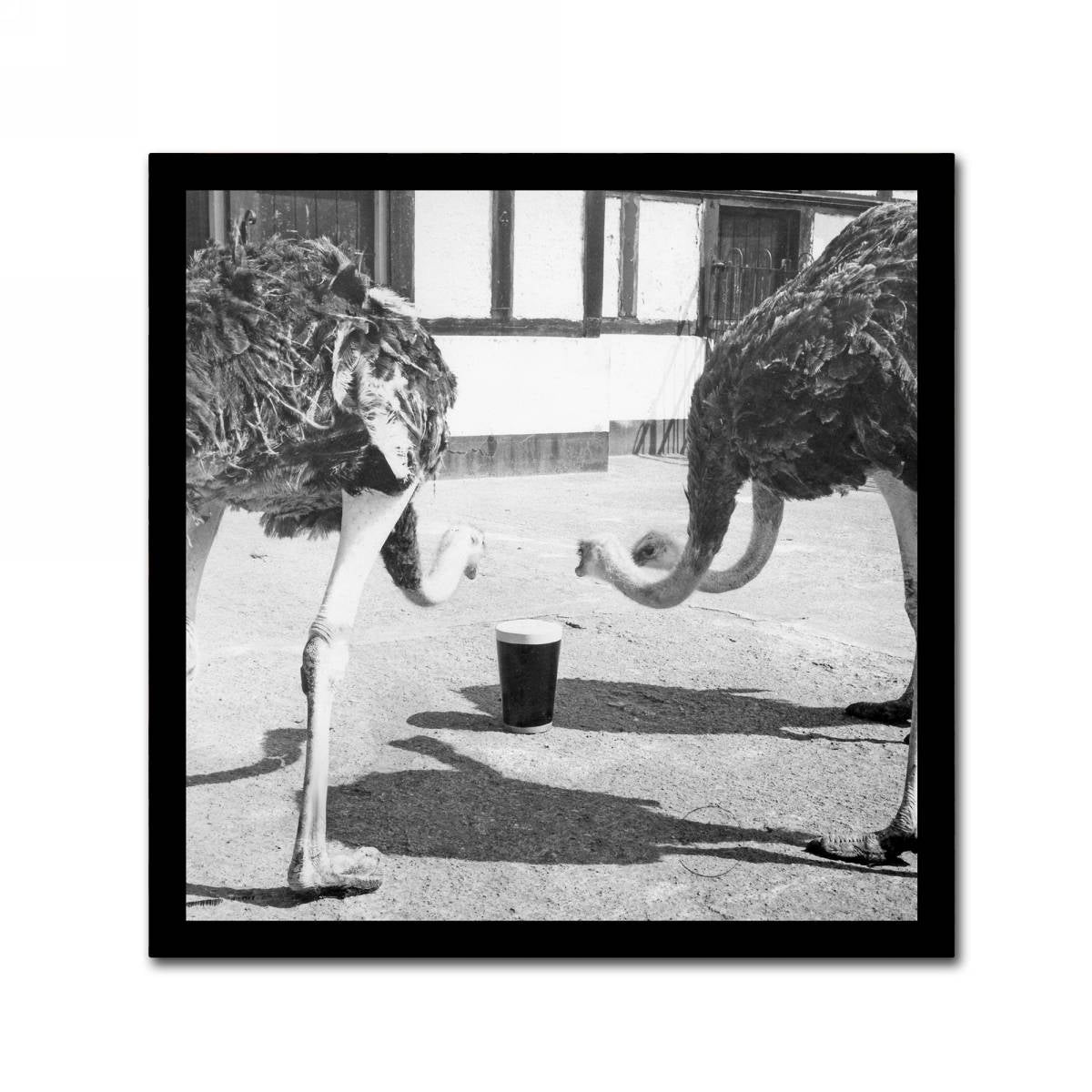 Two Guinness XVIII-century ostriches are drinking from a quirky art cup.
