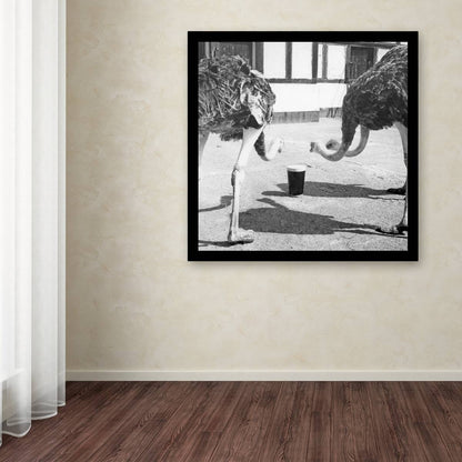 A quirky art photo of two ostriches in a room featuring the Guinness Brewery 'Guinness XVIII' Canvas Art.