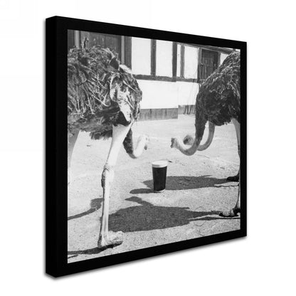 Two quirky ostriches drinking Guinness Brewery 'Guinness XVIII' Canvas Art.