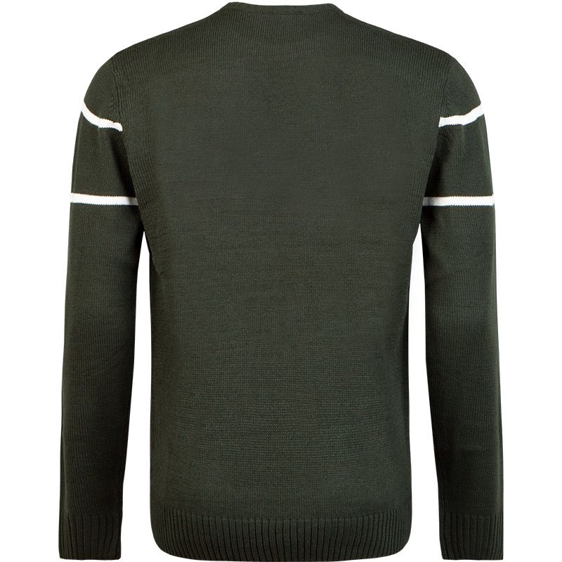 Rear view of the Guinness Bottle Green Crew Neck Jumper from Guinness Webstore US, crafted from 100% cotton with two white stripes on the upper arms, ribbed cuffs, and displaying the iconic Guinness Harp logo.