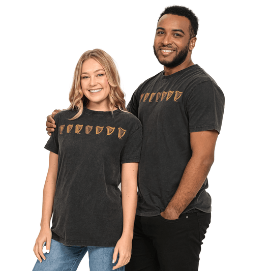 Two people stand side by side in matching black Guinness Black Evolution Harp Premium Tees, featuring a series of illustrated shield icons on the front. The person on the left has long hair, while the person on the right has short, curly hair. These stylish shirts are 100% cotton.