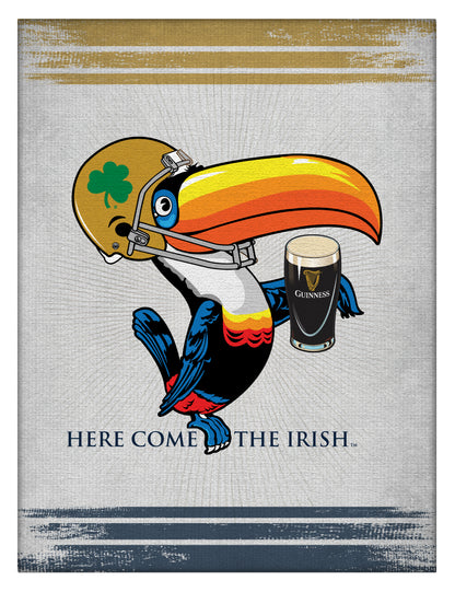 The Guinness Notre Dame Toucan Canvas Wall Art features a cartoon toucan in a football helmet with a shamrock, holding a pint of Guinness over "Here Come The Irish." Official wall art by Guinness, perfect for any Notre Dame fan.
